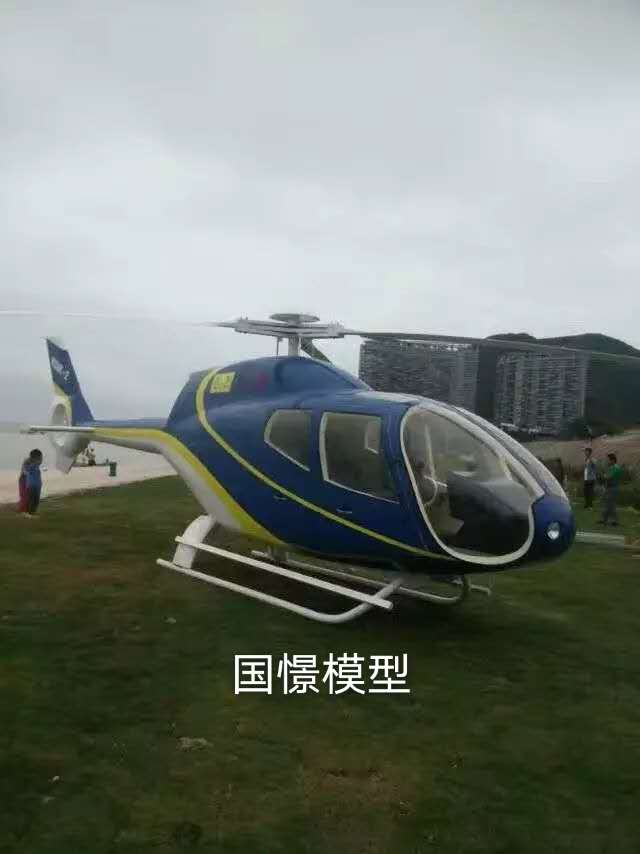 咸宁飞机模型